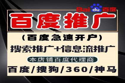 SEM推广实战：案例分析及优化建议